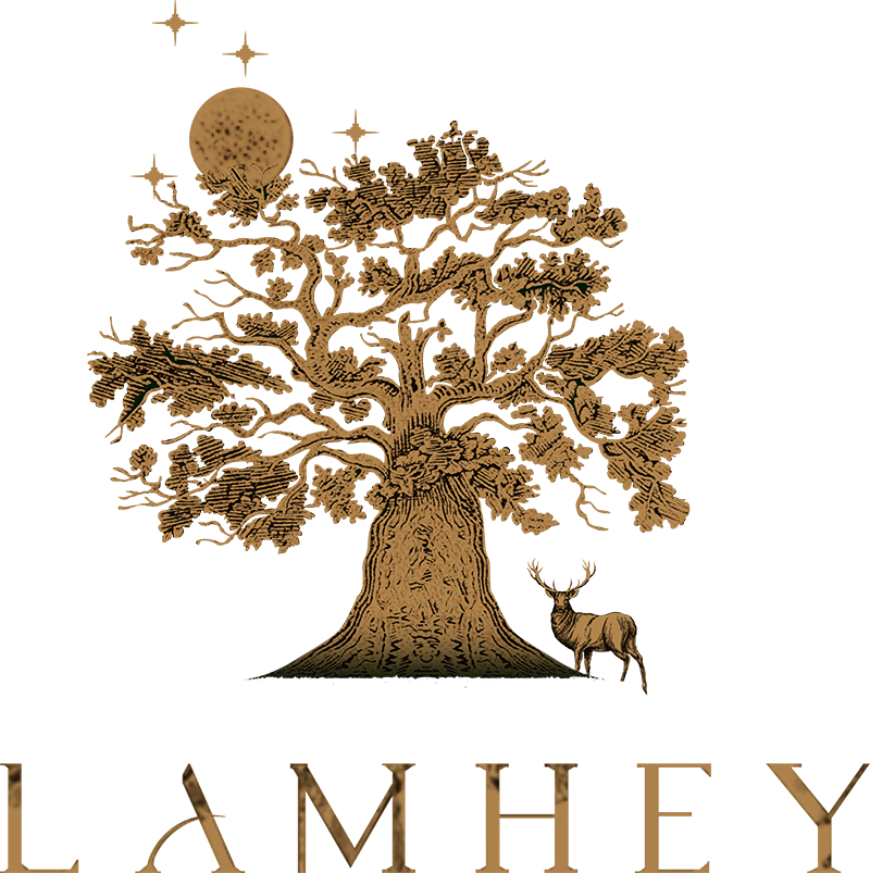 Lamhey